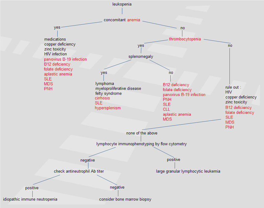 LEUKOPENIA WORKUP